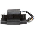 Delphi GN10542 Ignition Coil - view 3