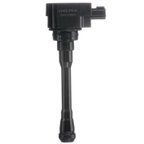 Delphi GN10880 Ignition Coil - view 3