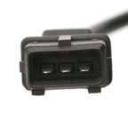Delphi SS10797 Engine Crankshaft Position Sensor - view 6