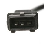 Delphi SS10797 Engine Crankshaft Position Sensor - view 2