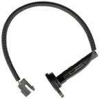 Delphi SS11856 Automatic Transmission Speed Sensor - view 7