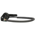 Delphi SS11856 Automatic Transmission Speed Sensor - view 4