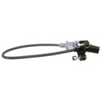 Delphi SS11987 Engine Crankshaft Position Sensor - view 3