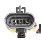 Delphi SS12123 Engine Crankshaft Position Sensor - view 8