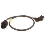 Delphi SS12145 Engine Crankshaft Position Sensor - view 2