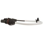 Delphi SS12168 Engine Crankshaft Position Sensor - view 4