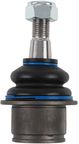 Delphi TC4224 Suspension Ball Joint - Front Lower Rearward - view 1