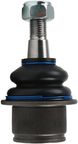 Delphi TC4224 Suspension Ball Joint - Front Lower Rearward - view 8