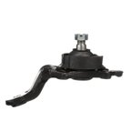 Delphi TC5555 Suspension Ball Joint - Front Right Lower - view 1