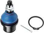 Delphi TC5695PX Suspension Ball Joint - Front Lower - view 4