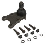Delphi TC5967 Suspension Ball Joint - Front Lower - view 8