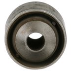 Delphi TD1682W Suspension Control Arm Bushing - Rear Upper Outer - view 1