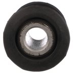 Delphi TD5842W Leaf Spring Bushing - Rear Forward - view 5