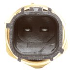 Delphi TS10154 Engine Coolant Temperature Sensor - view 8