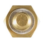 Delphi TS10258 Engine Coolant Temperature Sensor - view 4