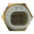 Delphi TS10296 Engine Coolant Temperature Sensor - view 3