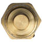 Delphi TS10545 Engine Coolant Temperature Sensor - view 6