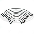 Delphi XS10251 Spark Plug Wire Set - view 3