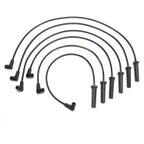 Delphi XS10390 Spark Plug Wire Set - view 2