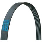 Dayco 5060792 Serpentine Belt - Main Drive - view 3