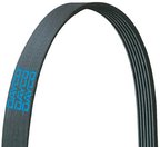 Dayco 5070390 Serpentine Belt - Fan and Alternator or Main Drive - view 1