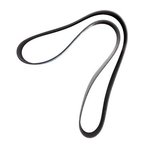 Dayco 5100608 Serpentine Belt - view 3