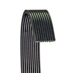 Dayco 6100672 Serpentine Belt - Fan and Water Pump - view 2