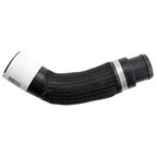Dayco 74336 Radiator Coolant Hose - Lower - Connector To Radiator - view 4