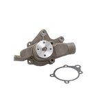 Dayco DP1069 Engine Water Pump - view 2
