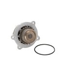 Dayco DP1089 Engine Water Pump - view 1