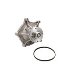 Dayco DP1309 Engine Water Pump - view 1