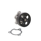 Dayco DP453 Engine Water Pump - view 1