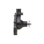 Dayco DP8101 Engine Water Pump - view 2