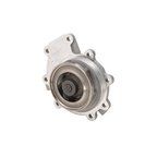 Dayco DP817 Engine Water Pump - view 4