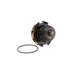 Dayco DP972 Engine Water Pump - view 2