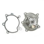 Dayco DP981 Engine Water Pump - view 1