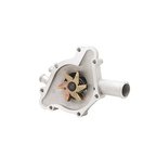 Dayco DP985 Engine Water Pump - view 4