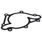 Elring 093.000 Engine Water Pump Gasket - view 1