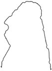 Elring 976.710 Engine Timing Cover Gasket - view 2