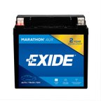 Exide M14AUX Vehicle Battery - Auxiliary - view 1