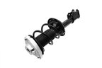 FCS 1333861R Suspension Strut and Coil Spring Assembly - Front Right - view 2