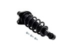 FCS 1355016R Suspension Strut and Coil Spring Assembly - Rear Right - view 4