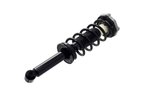 FCS 1355067L Suspension Strut and Coil Spring Assembly - Rear Left - view 3