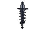 FCS 1355072L Suspension Strut and Coil Spring Assembly - Rear Left - view 1