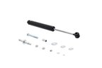 FCS 226337 Steering Damper - Front - view 2