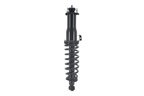 FCS 2345481L Suspension Strut and Coil Spring Assembly - Rear Left - view 5