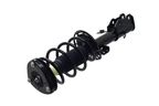 FCS 3334053R Suspension Strut and Coil Spring Assembly - Front Right - view 4