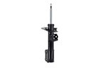 FCS 333750 Suspension Strut Assembly - Front - view 1