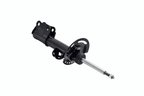 FCS 333750 Suspension Strut Assembly - Front - view 2