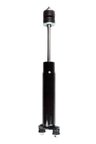 FCS 343339 Suspension Shock Absorber - Front - view 1